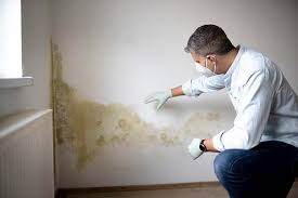 Mold Remediation for Vacation Homes in State Center, IA